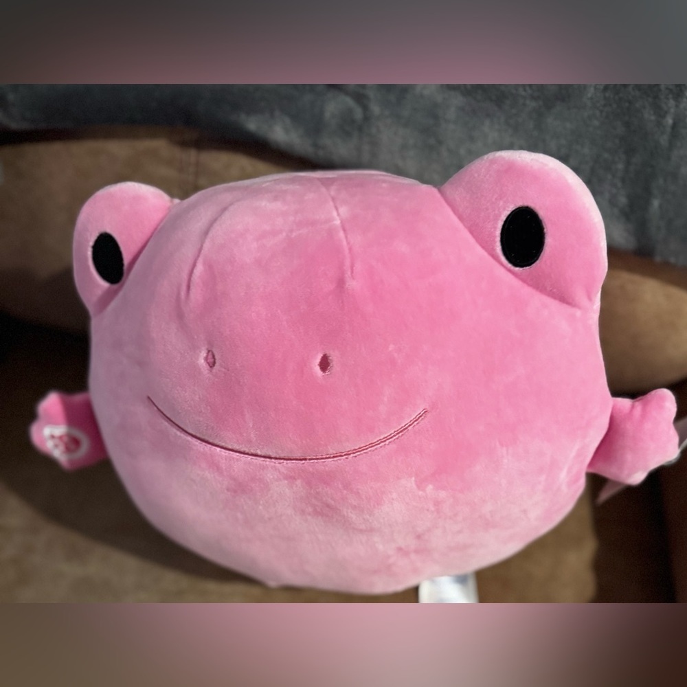 Build A Bear SKOOSHERZโข Spring Pink Frog Stuffed Animal 9โ NWT Easter Valentine